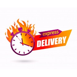 Additional Shipping Service (for iSparehub User Only)